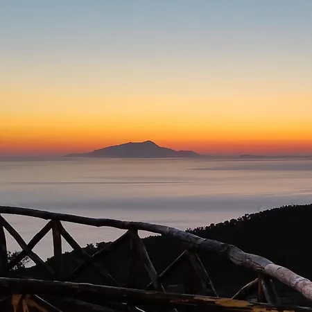 Il Tipo In The Heart Of Apartment