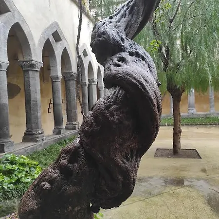 Il Tipo In The Heart Of Apartment *